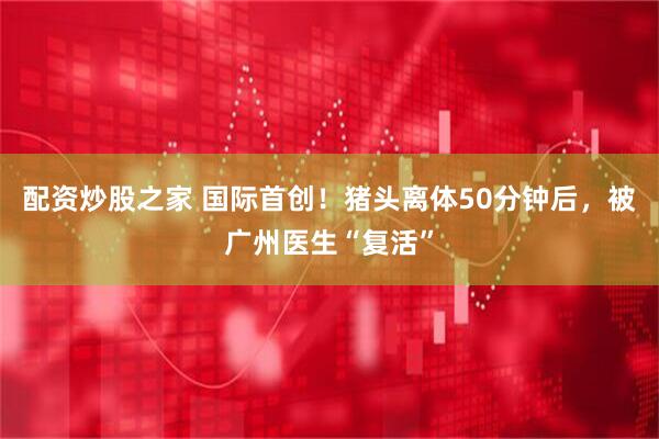 配资炒股之家 国际首创！猪头离体50分钟后，被广州医生“复活”