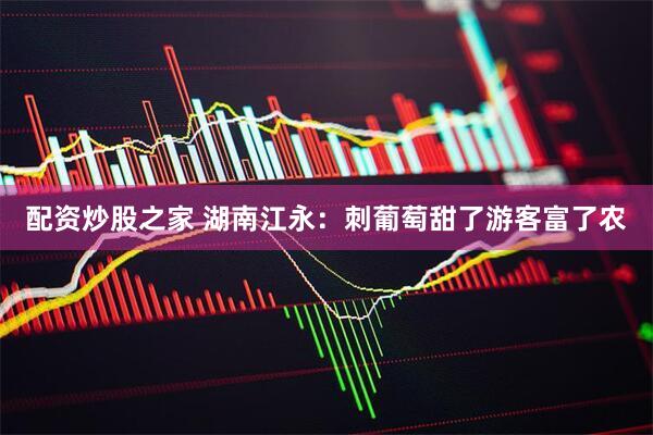 配资炒股之家 湖南江永：刺葡萄甜了游客富了农