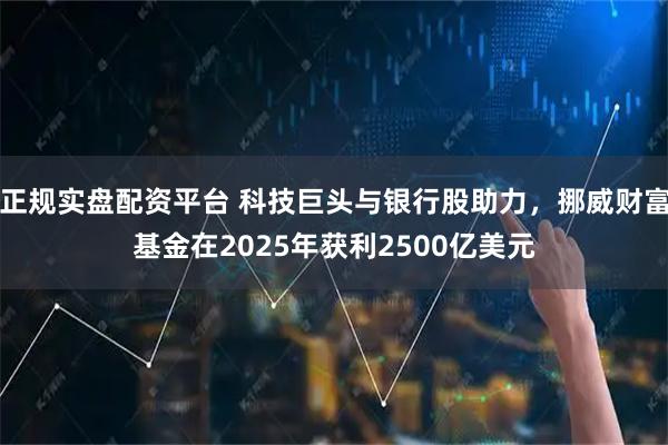 正规实盘配资平台 科技巨头与银行股助力，挪威财富基金在2025年获利2500亿美元