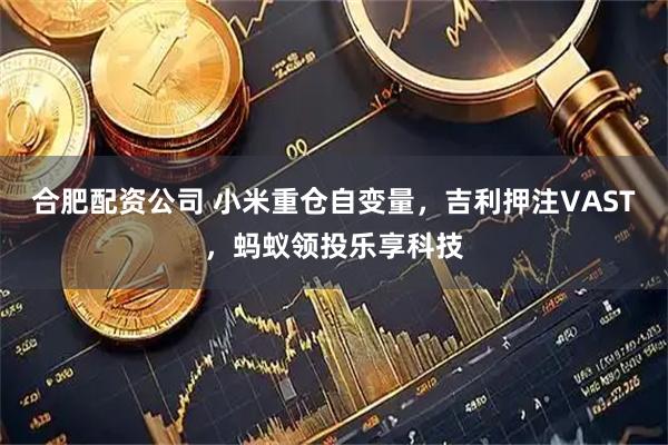 合肥配资公司 小米重仓自变量，吉利押注VAST，蚂蚁领投乐享科技